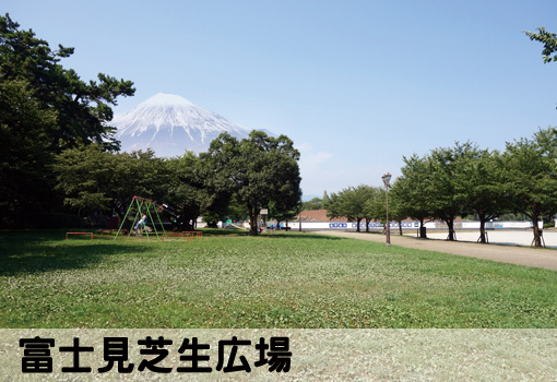 富士見芝生広場
